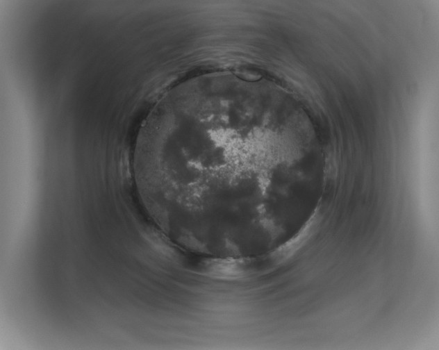 X0000111640182200907171554