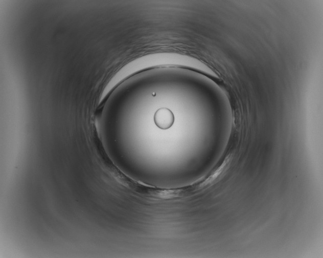 X0000111640184200907171554