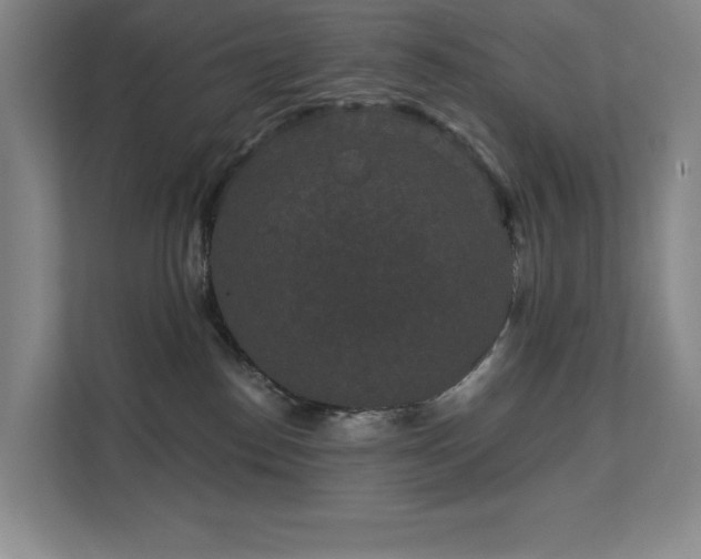 X0000111640186200907171554