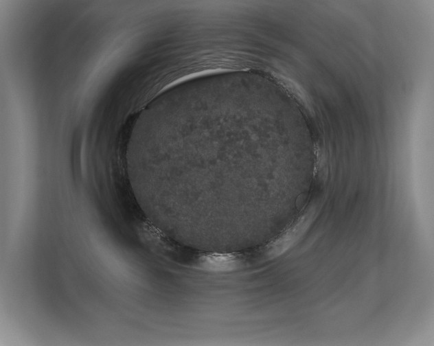 X0000111640189200907171554