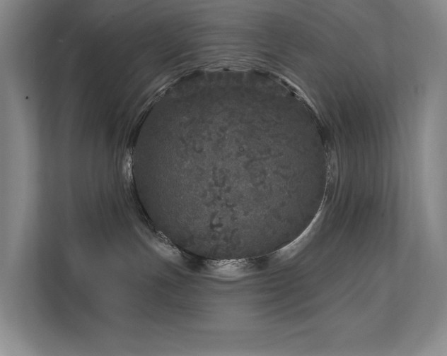 X0000111640191200907171554