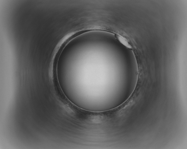 X0000111640200200907171553