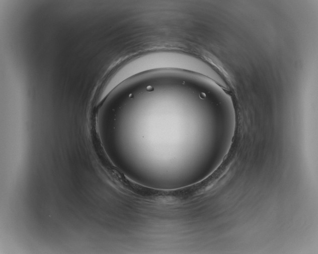 X0000111640203200907171553