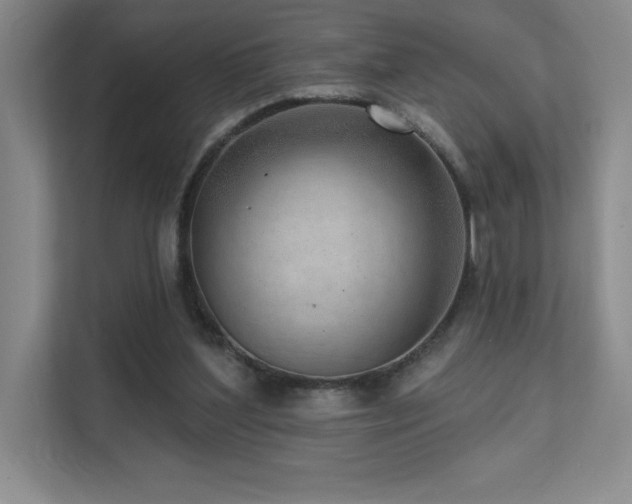 X0000111640204200907171553