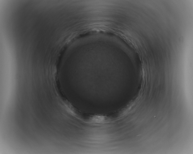 X0000111640227200907171553