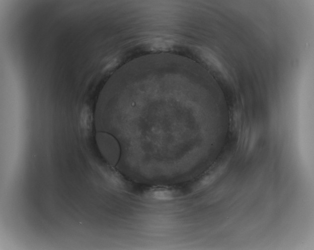 X0000111640228200907171553