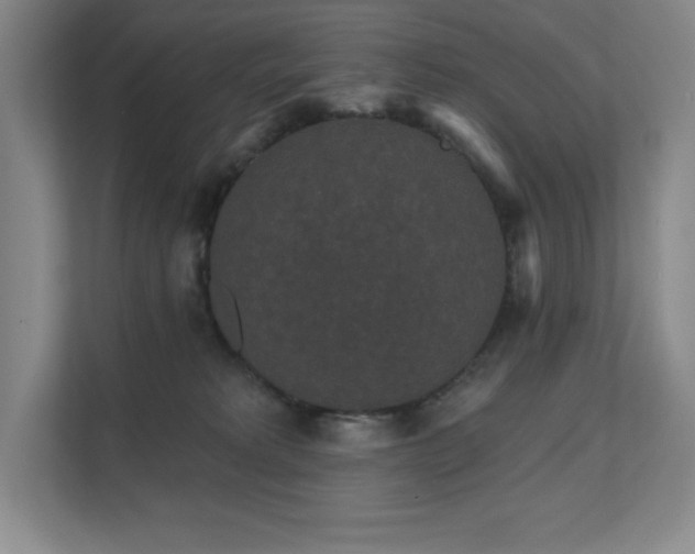 X0000111640229200907171553