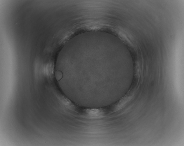 X0000111640230200907171553