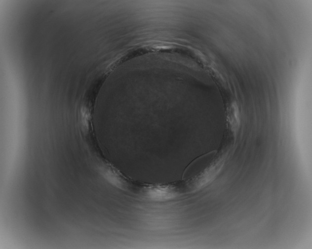 X0000111640235200907171553