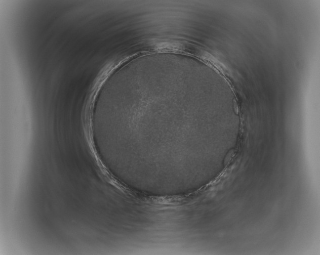 X0000111640241200907171552