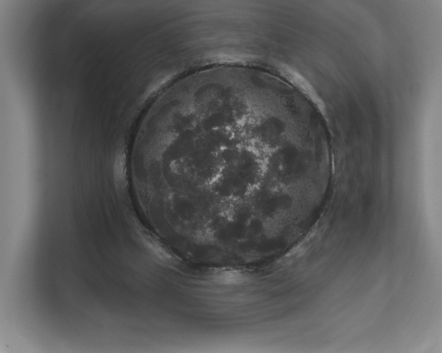 X0000111640249200907171552