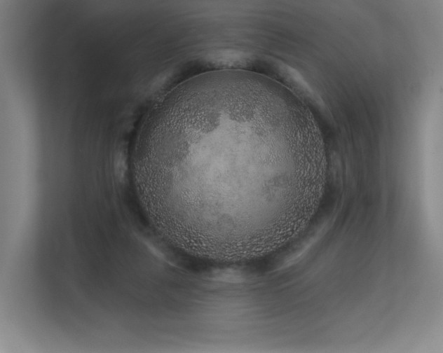 X0000111640259200907171552