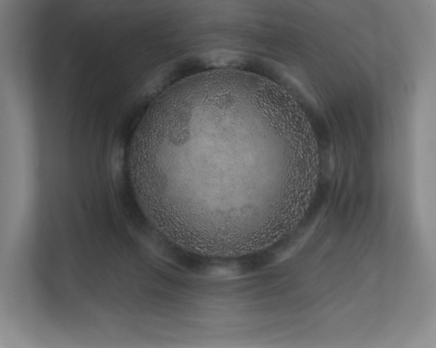 X0000111640263200907171552