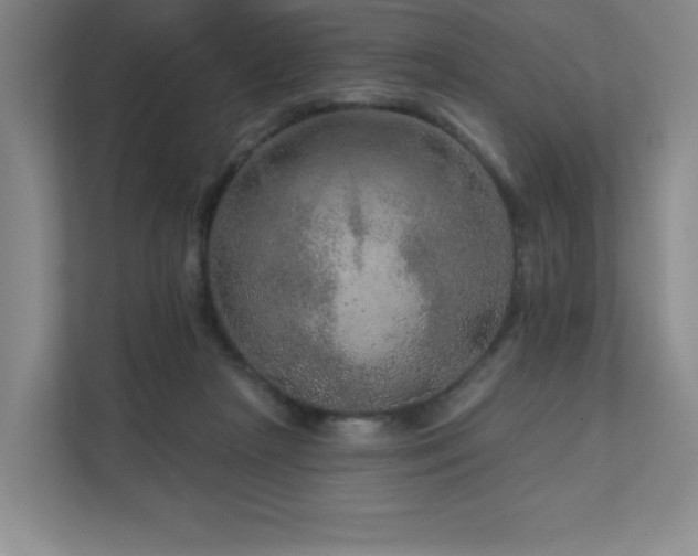 X0000111640265200907171553