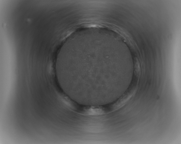 X0000111640270200907171553