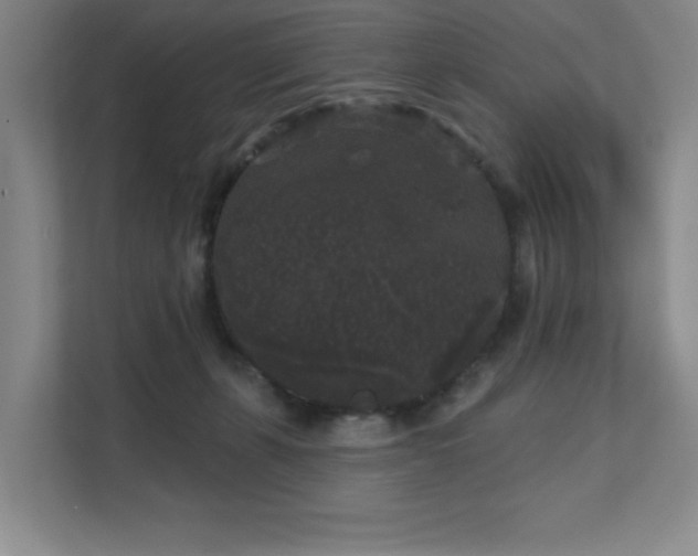 X0000111640271200907171553