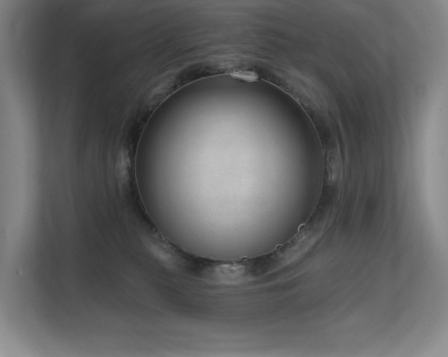 X0000111640279200907171553