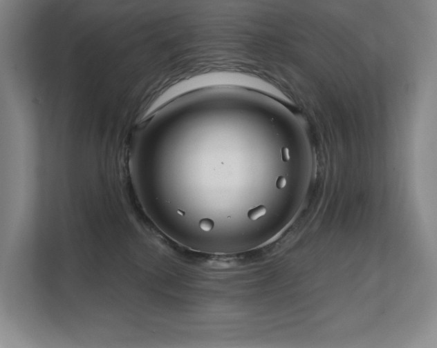 X0000111640280200907171553
