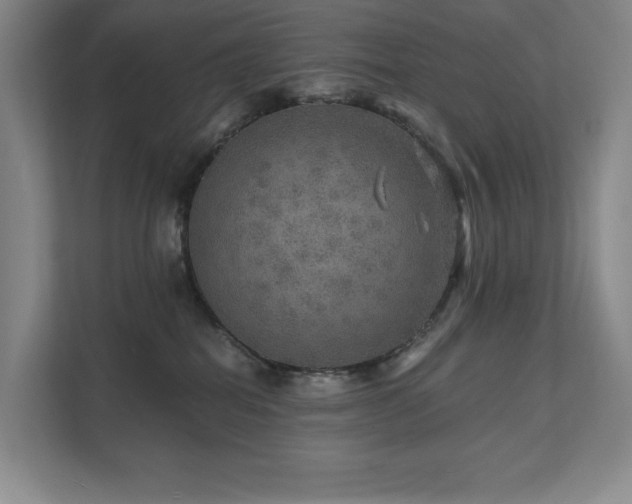 X0000111640282200907171553