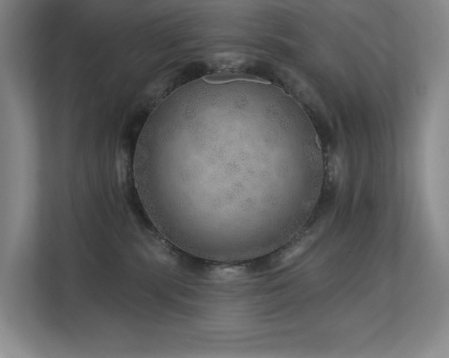 X0000111640283200907171553