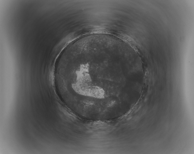 X0000111640290200907171552