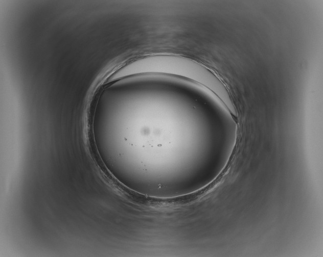 X0000111640293200907171552