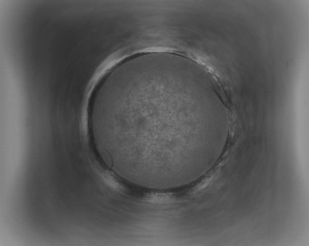 X0000111640296200907171552