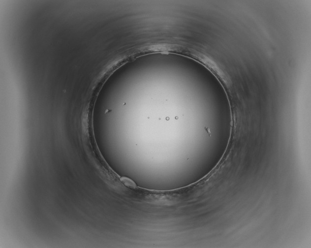 X0000111640297200907171552