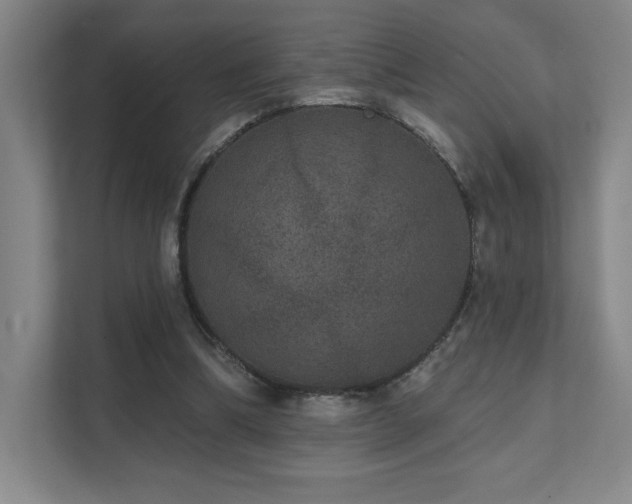 X0000111640298200907171552
