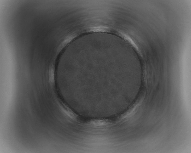 X0000111640299200907171552