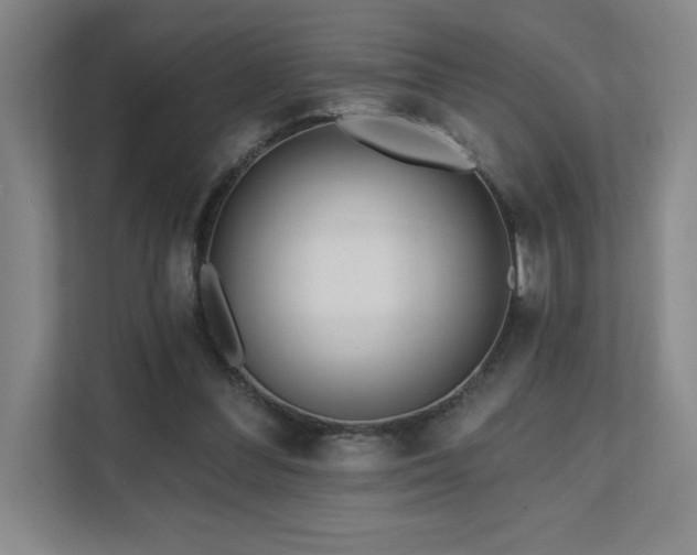 X0000111640300200907171552