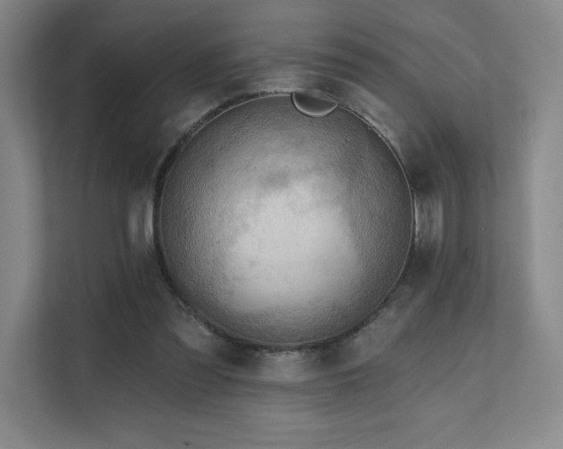 X0000111640301200907171552