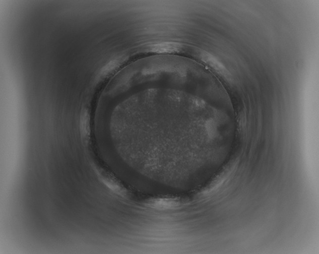 X0000111640303200907171552
