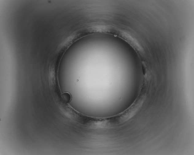 X0000111640306200907171552