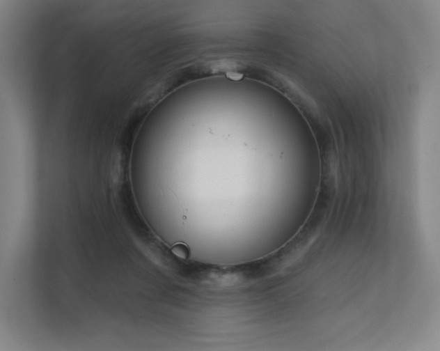 X0000111640311200907171552