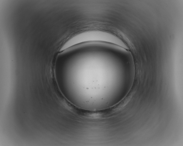 X0000111640313200907171552