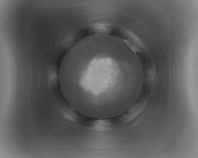 X0000111640320200907171552