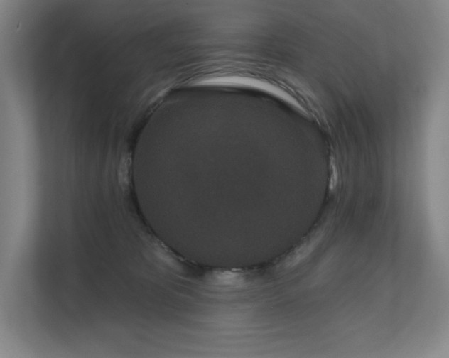 X0000111640325200907171552