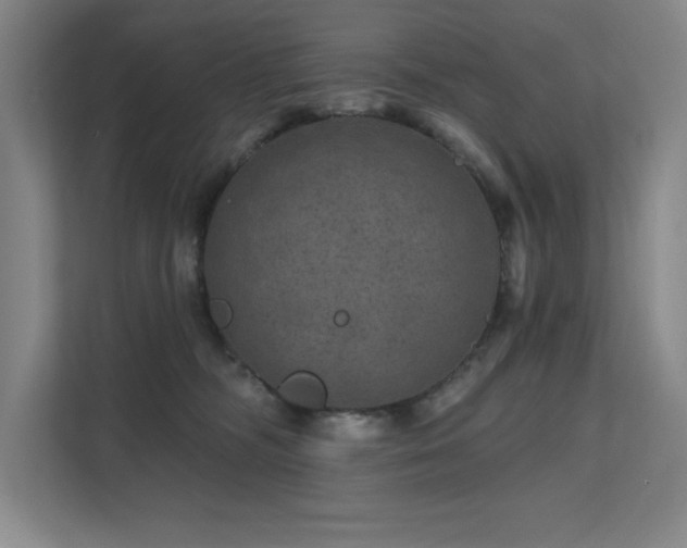 X0000111640326200907171552