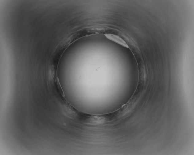 X0000111640328200907171552