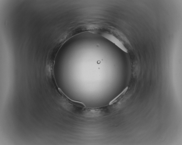X0000111640329200907171552
