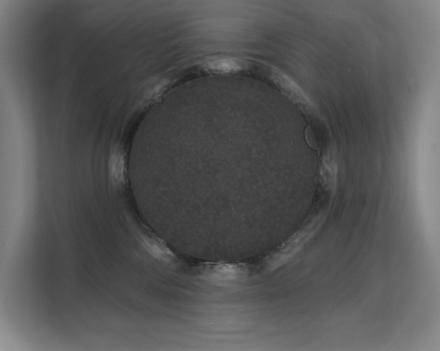 X0000111640330200907171552
