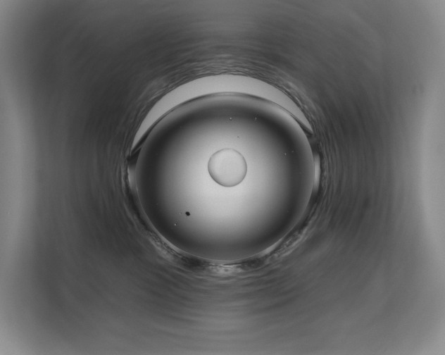 X0000111640333200907171552