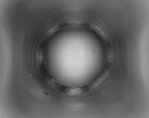 X0000111640334200907171552