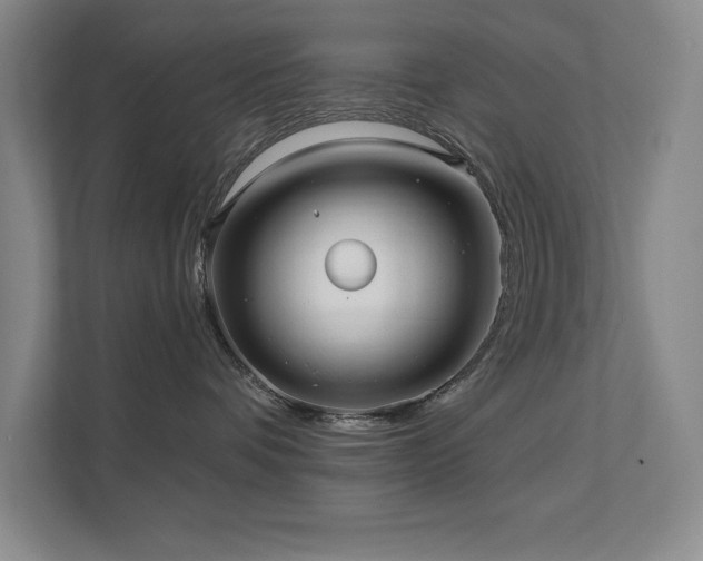 X0000111640336200907171552
