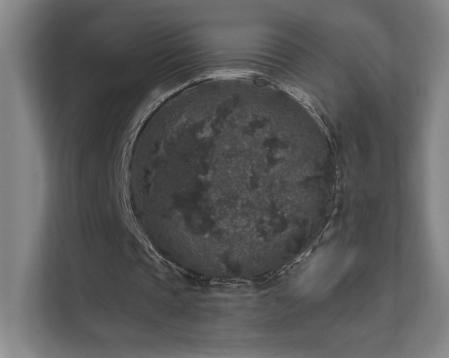 X0000111640337200907171551