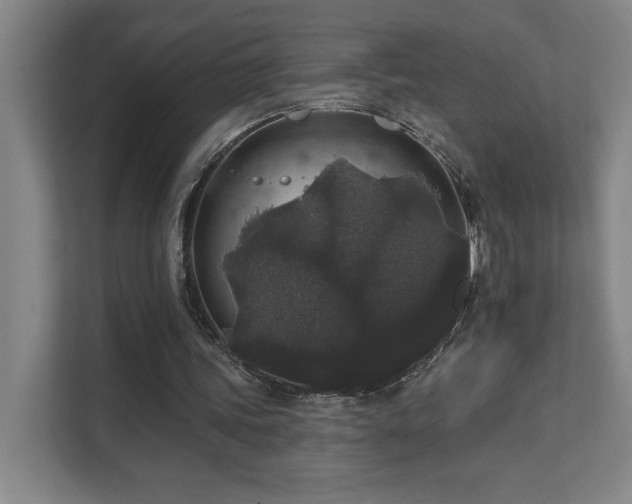 X0000111640339200907171551