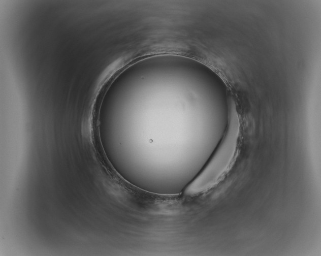 X0000111640340200907171551