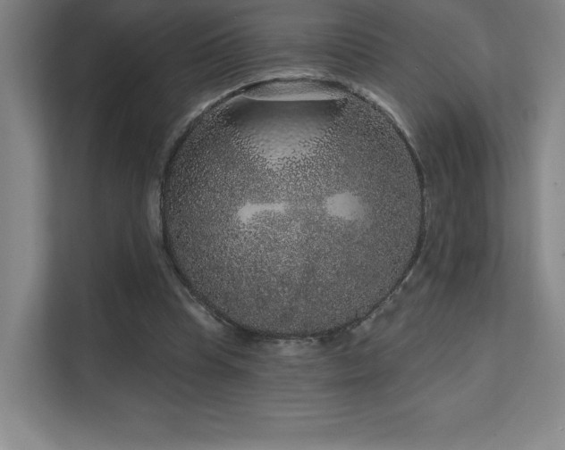 X0000111640345200907171551