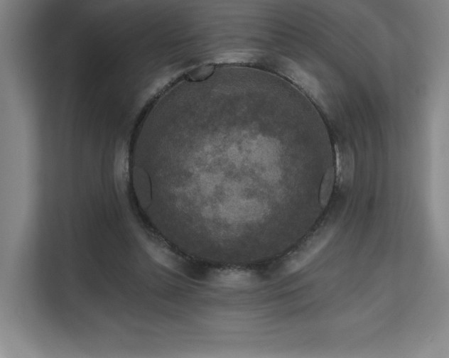 X0000111640348200907171551